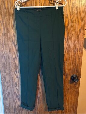 Hilary Radley Dark Green Straight Leg Dress Pants